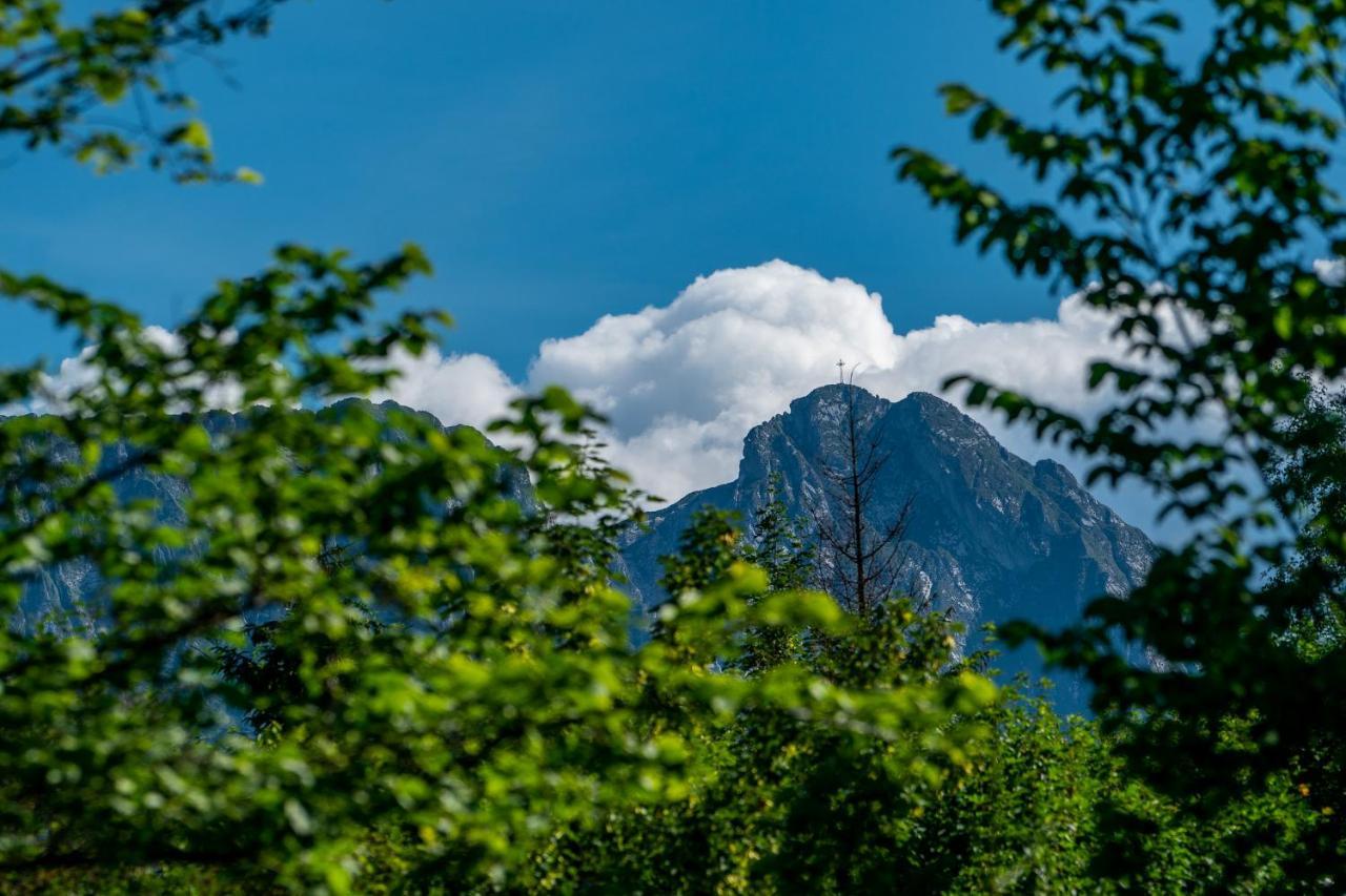 Villa Capra - Apartments Adult Only Zakopane Exterior photo